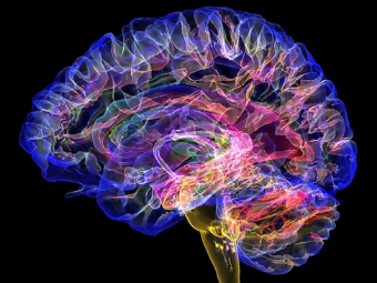 操大B视频大脑植入物有助于严重头部损伤恢复